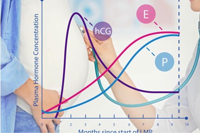 Antenatal-Screening