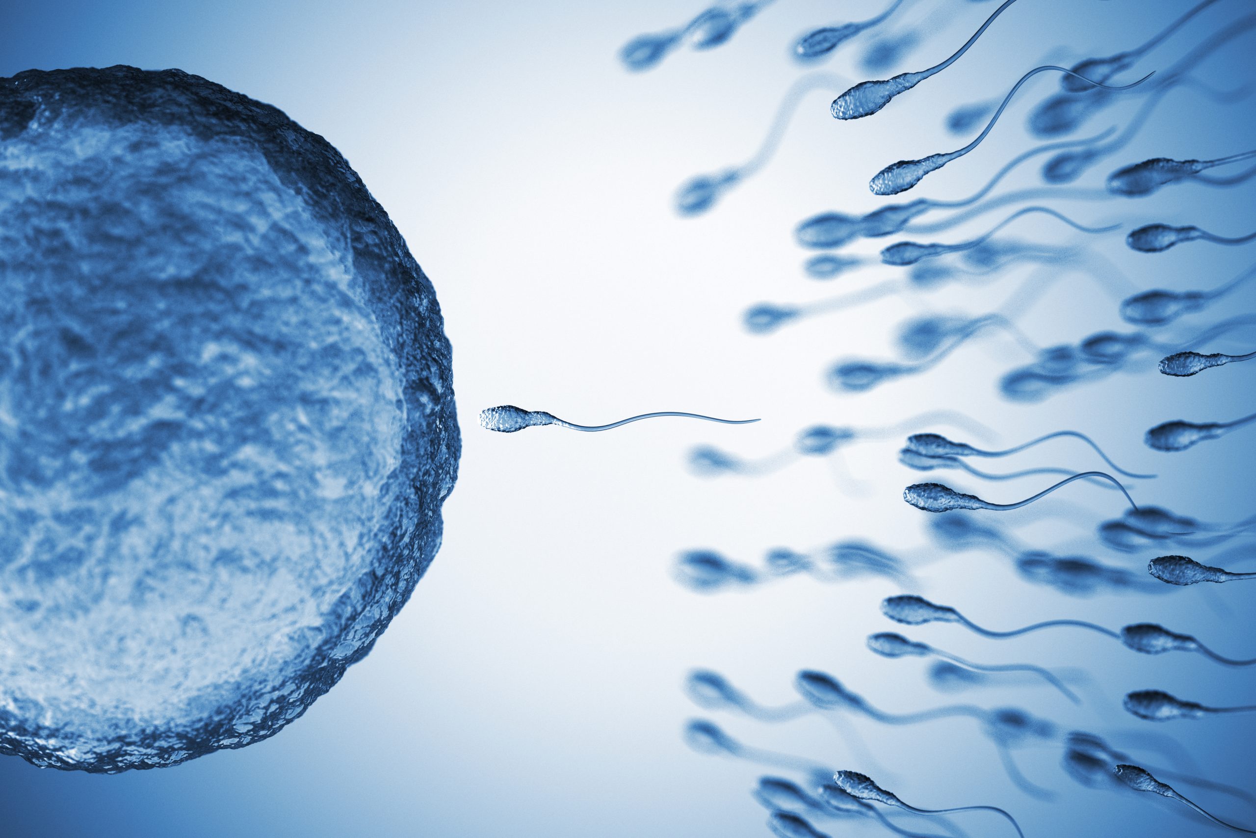 Mentionable symptoms to know that you are ovulating